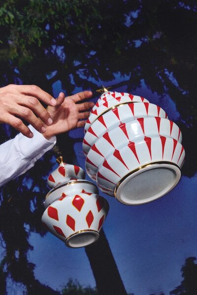 Alessi Posoda s pokrovom Alessi Delight