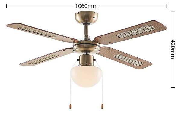 Stropni ventilator Lindby z lučjo Rakan, tih, Ø 106 cm