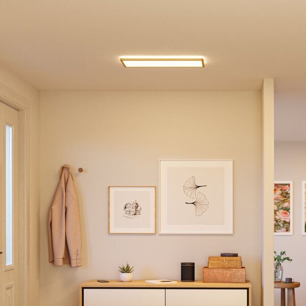 Paulmann LED-panel Atria Shine 58 cm, les, IP44, 3000 K, vklop/izklop, Les, Študija / pisarna, Plastika, Sodobni