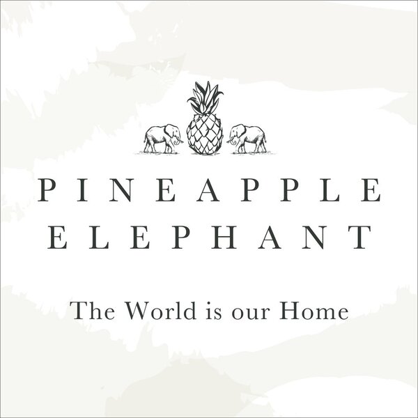 Modra prosojna zavesa 140x183 cm Zanzibar Stripe – Pineapple Elephant