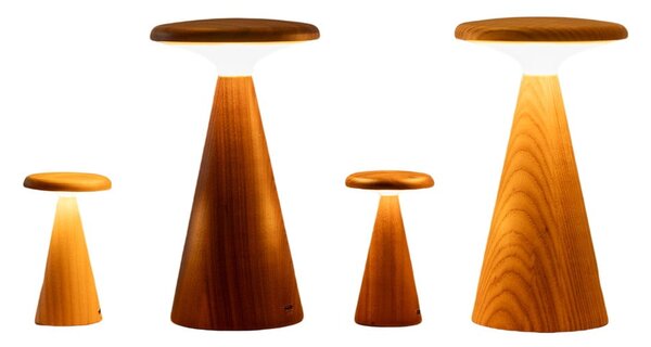 LED namizna svetilka v temni naravni barvi z lesenim senčilom (višina 14 cm) Sylva – Gingko