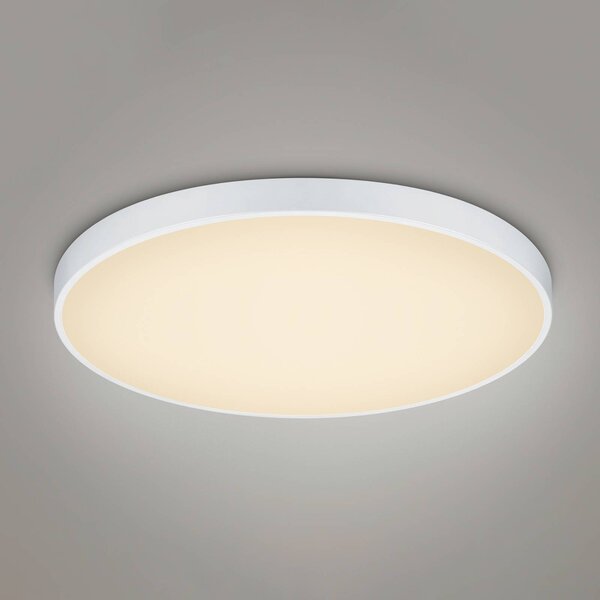 LED stropna svetilka Waco, CCT, Ø 75 cm, bela mat