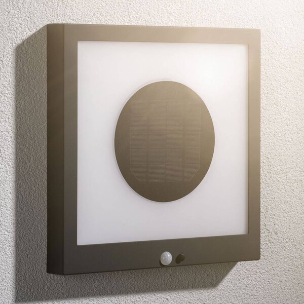 Paulmann LED solarni panel Taija s senzorjem 30 x 30cm