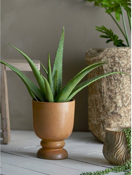 Umetna rastlina (višina 61 cm) Aloe – Bloomingville