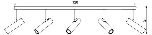 Stropna svetilka Axion, 5-svetlobna, barva titana, podolgovata, jeklena