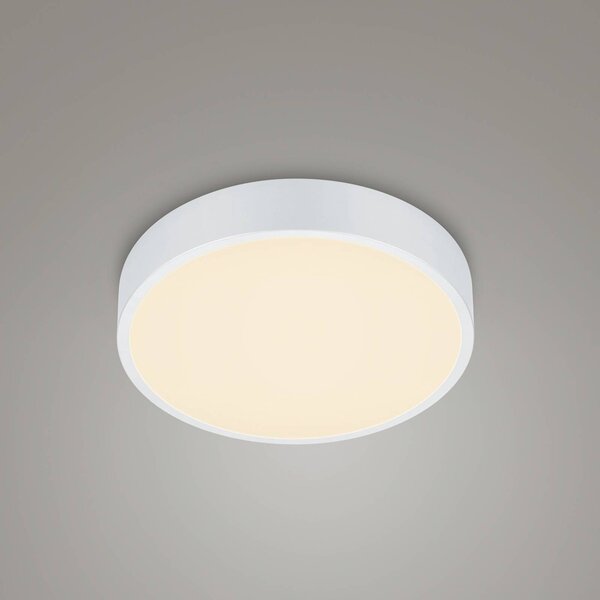 LED stropna svetilka Waco, CCT, Ø 31 cm, bela mat