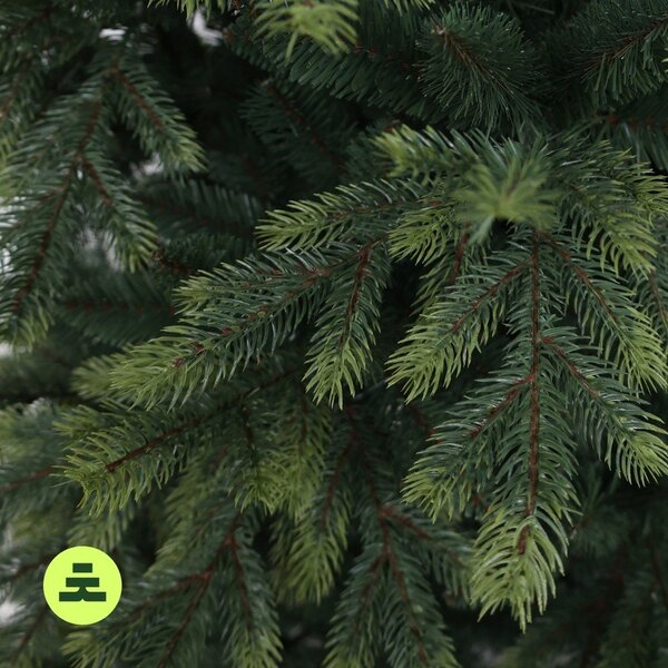 Umetna jelka višina 150 cm Himalaya Spruce – Můj Stromeček