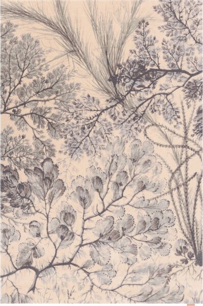 Mentolno zelena/bež volnena preproga 133x190 cm V&A Calisia Kelp – Agnella