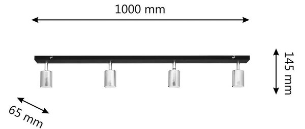 Stropna svetilka Tune II, črna/krom, kovinska, 4-svetlobna, podolgovata