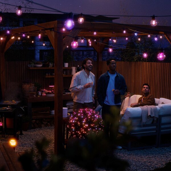 Philips Hue LED-lučke Festavia Globe 14 m 20 flg. IP65, zatemnjen, Črna, Kovina, Sodobni