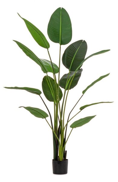 Umetna rastlina (višina 185 cm) Sterilizia – Bizzotto