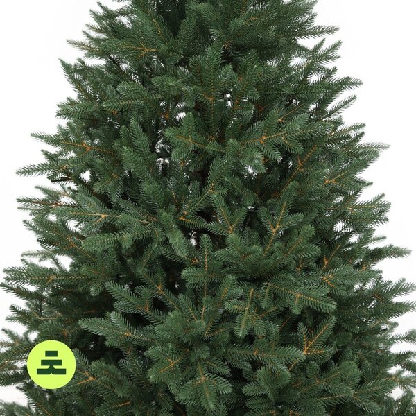 Umetna jelka višina 210 cm Canadian Spruce 3D – Můj Stromeček