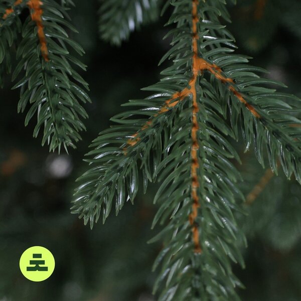 Umetna jelka višina 210 cm Canadian Spruce 3D – Můj Stromeček
