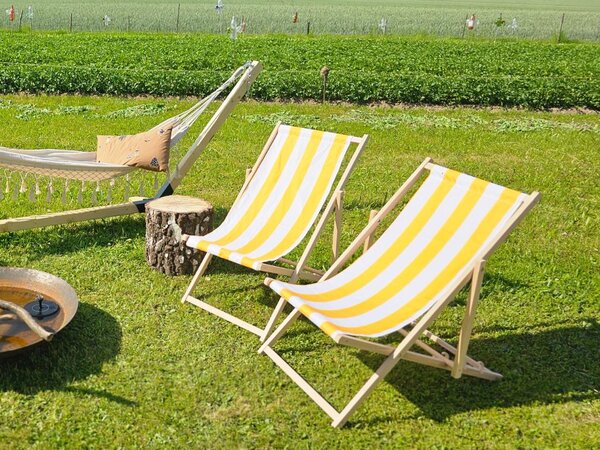 ATMOWOOD Lesen vrtni ležalnik - rumene črte