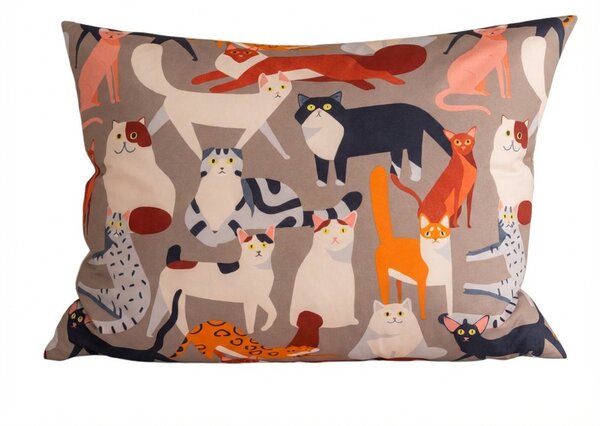 Prevleka za blazino iz mikrovlaken CATMOSPHERE 70x90 cm, barvna