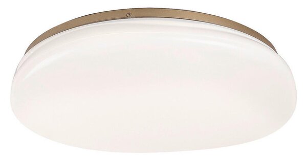STROPNA KOPAL. LED-SVETILKA CALIOPE 41/39,5/10 cm 4000 K