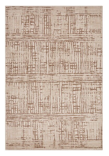 Rjava/bež preproga 160x235 cm Terrain – Hanse Home