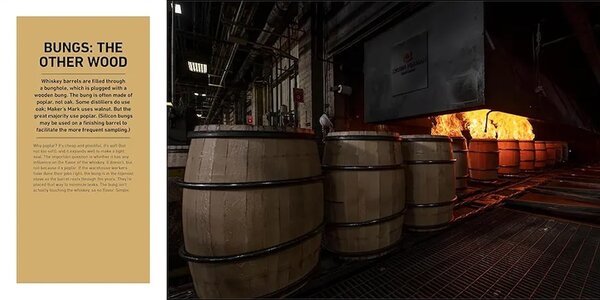 Knjiga home & lifestyle American Whiskey Master Class by Lew Bryson, English