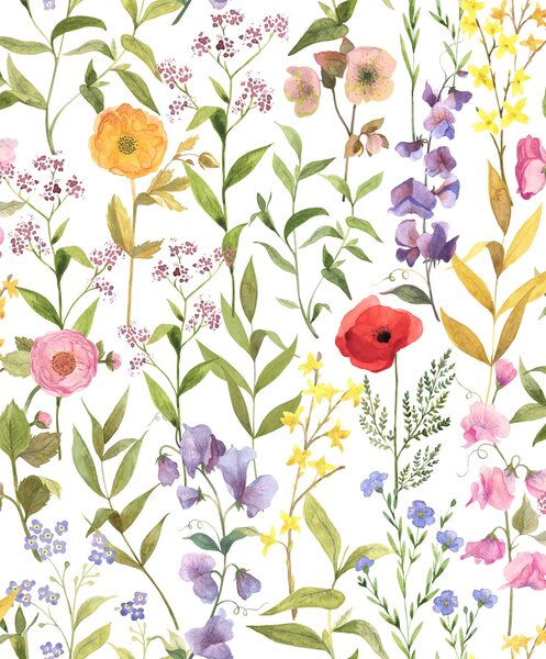 Tapeta Fleurs Des Champs 4 barve