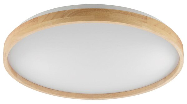STROPNA LED-SVETILKA Alson 17 W 3000-6500 K 220-240 V