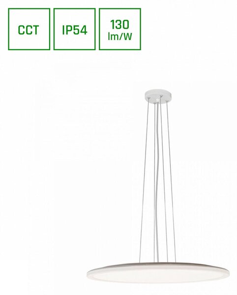 ZUNANJA VISEČA SVETILKA Nymphea 50/2,6-100 cm