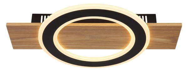 STROPNA LED-SVETILKA JAYDEN 1000 lm 3000 K 230 V