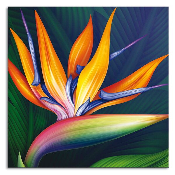 Stenska dekoracija Strelitzia