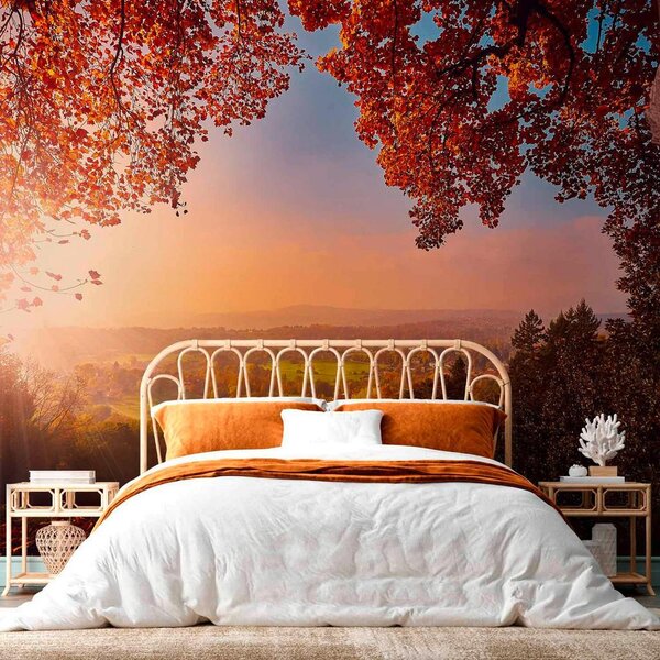 Artgeist Fototapeta Autumn Delight, 100x70cm