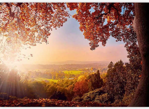 Artgeist Fototapeta Autumn Delight, 100x70cm