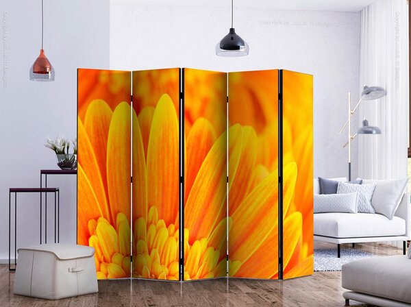 Artgeist Paravan Yellow Gerbera Daisies I, 5-Delni, Dvostranski
