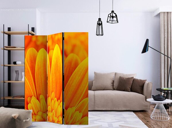 Artgeist Paravan Yellow Garbera Daisies, 3-Delni, Dvostranski