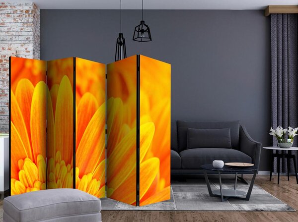 Artgeist Paravan Yellow Gerbera Daisies I, 5-Delni, Dvostranski
