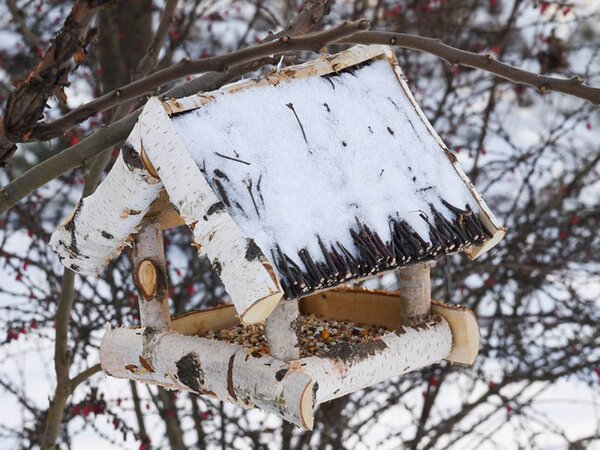 ATMOWOOD Krmilnica za ptice iz brezovega lesa