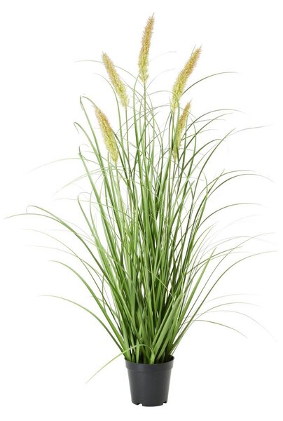 Modern Living Umetna Rastlina Pennisetum I
