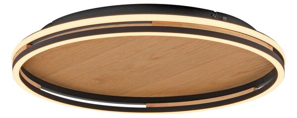 STROPNA LED-SVETILKA Sveja 2700-5000 K