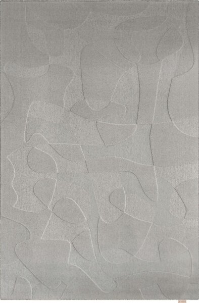 Siva volnena preproga 200x300 cm Morphic Botanica – Agnella