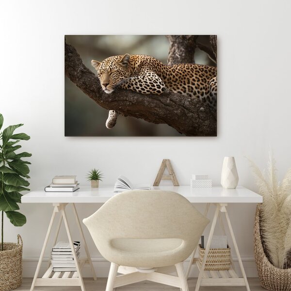 Slika leopard počiva na drevesu