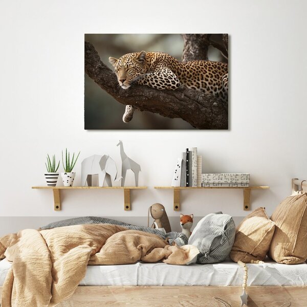 Slika leopard počiva na drevesu