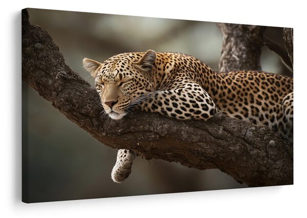 Slika leopard počiva na drevesu