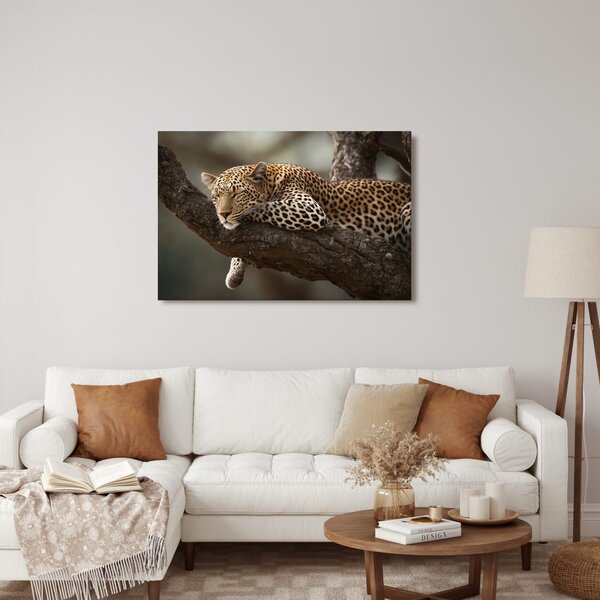 Slika leopard počiva na drevesu