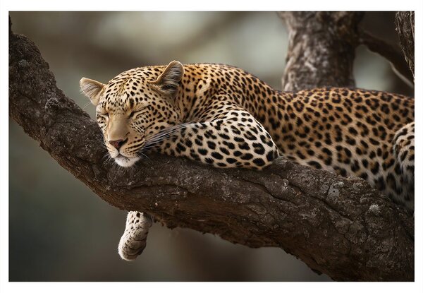 Slika leopard počiva na drevesu