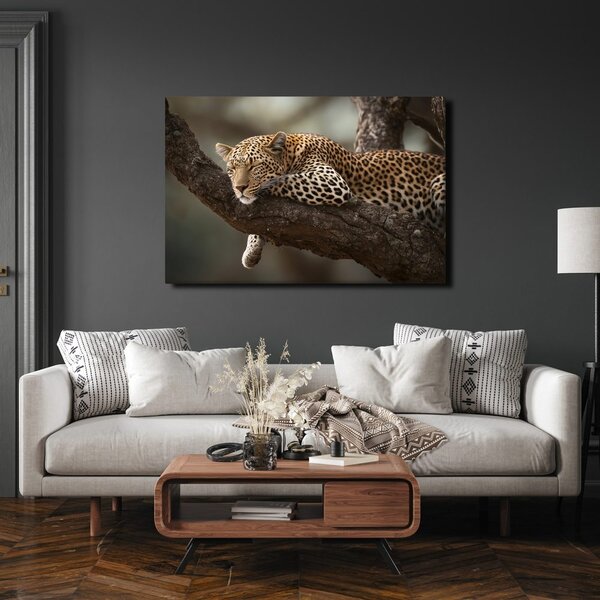 Slika leopard počiva na drevesu