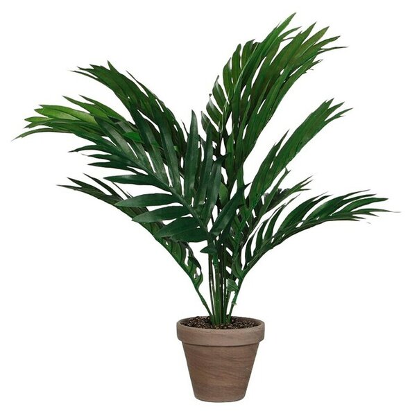 Umetna rastlina palma Areka (Višina: 45 cm, Zelena, Plastika)