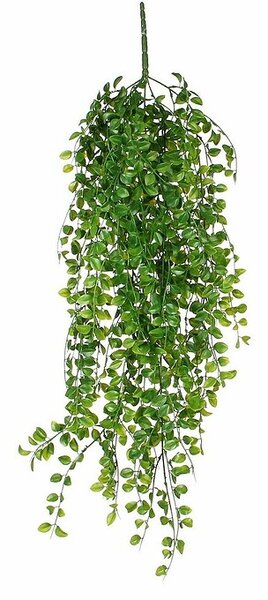 Umetna rastlina Fikus (Višina: 81 cm, Zelena, Plastika)
