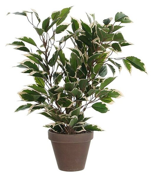 Umetna rastlina (Višina: 30 cm, Zelena, Plastika)