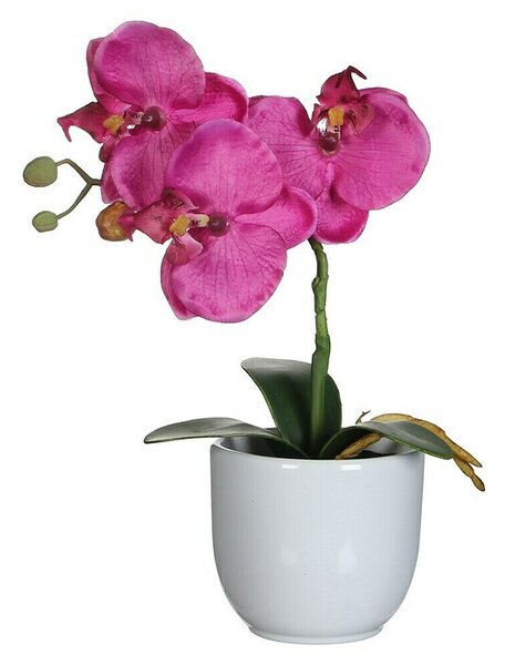 Umetna rastlina Phalaenopsis (Višina: 26 cm, Vijolična, Plastika)