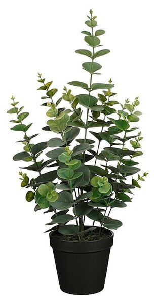 Umetna rastlina Evkaliptus (Višina: 53 cm, Plastika)