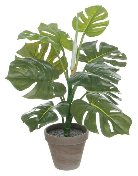 Umetna rastlina Monstera (Višina: 48 cm, Zelena, Plastika)