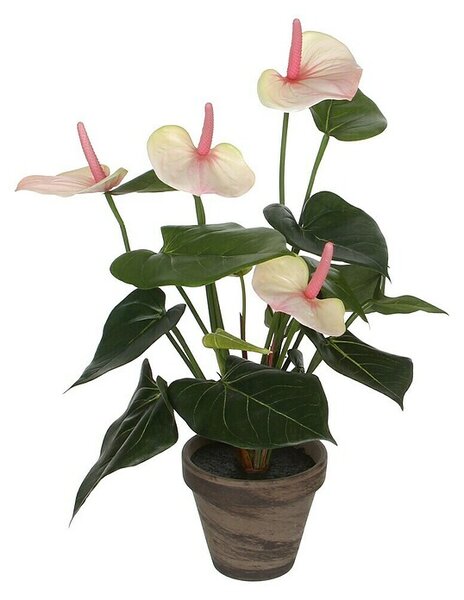 Umetna rastlina Flamingovec (Višina: 40 cm, Kremna, Plastika)