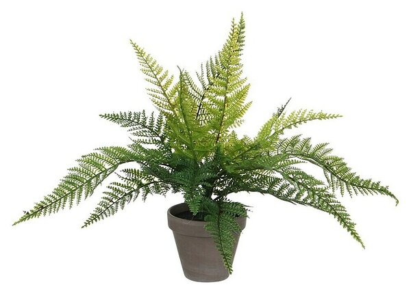 Umetna rastlina Praprot (Višina: 40 cm, Plastika)